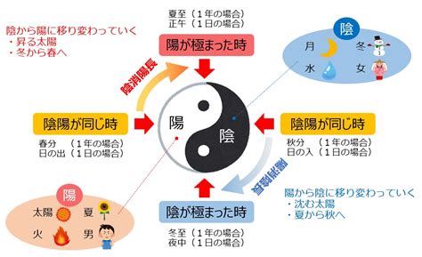 陰と陽 人間|3. 「陰」と「陽」って、意外とややこしい 